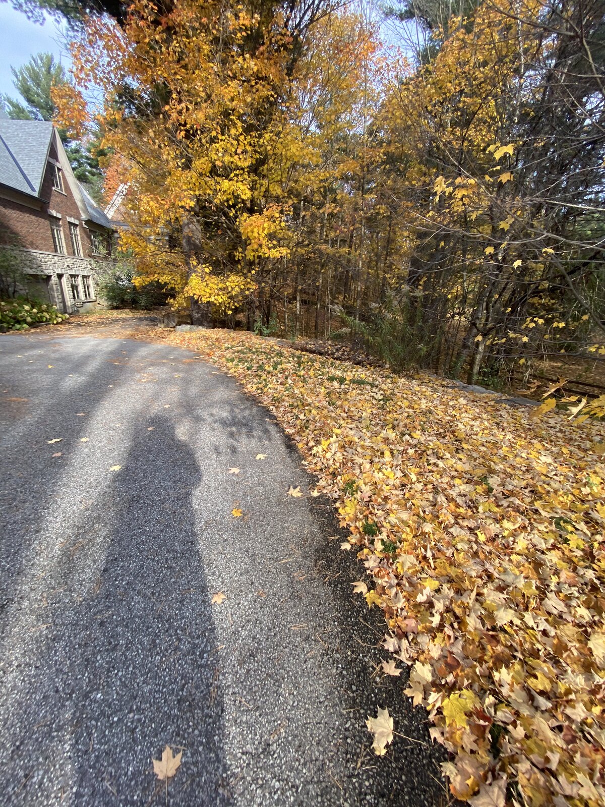 Estate Driveway in Fall — O'Doherty's Property Services
