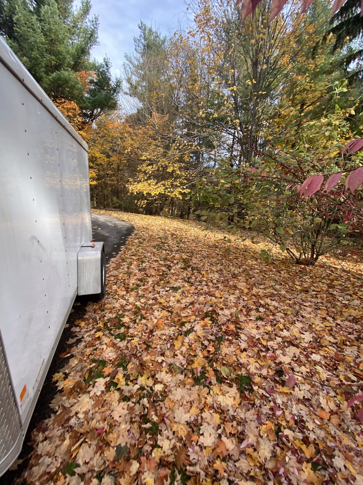 On-Site Fall Cleanup — O'Doherty's Property Services