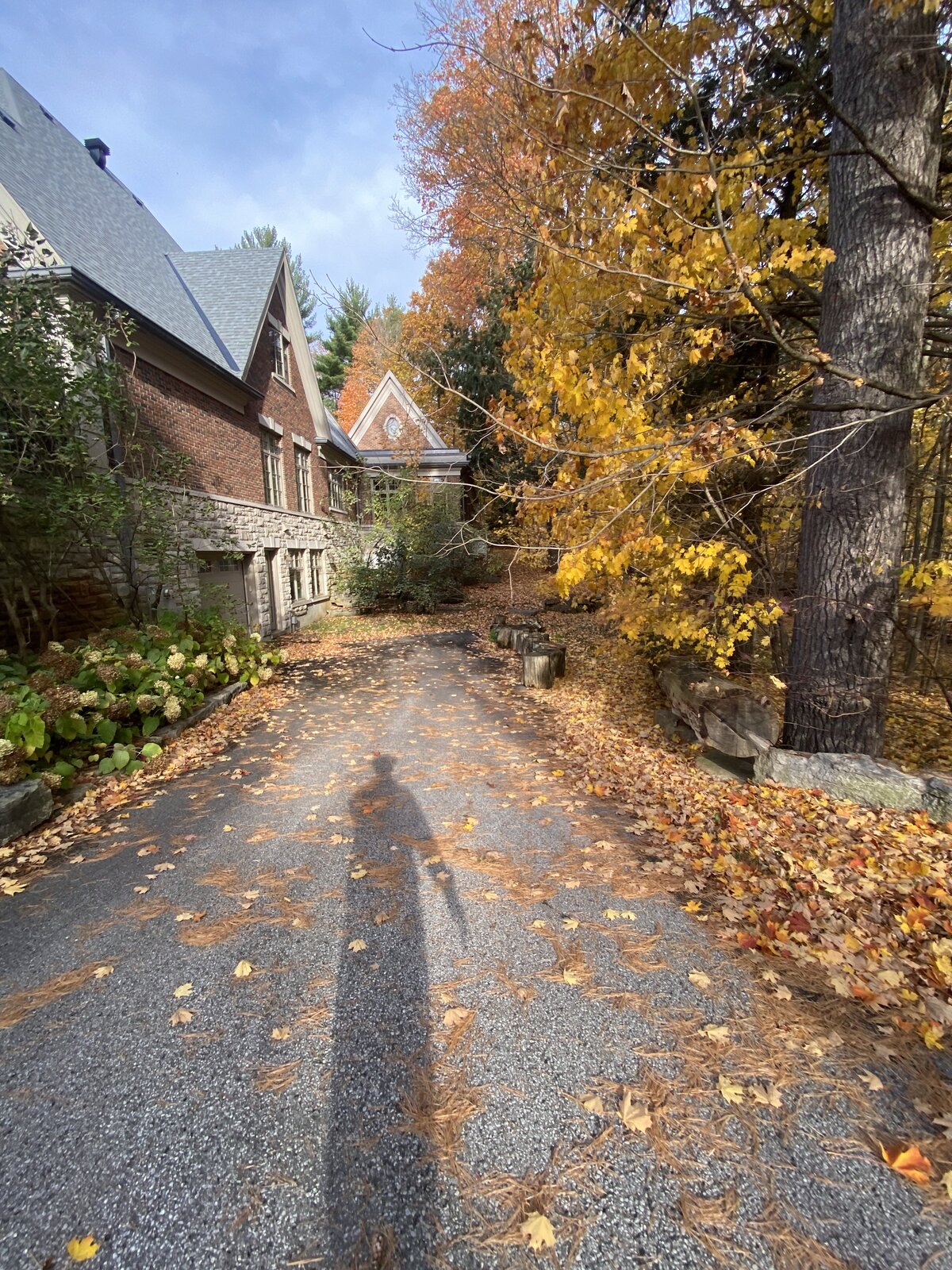 Fall Driveway Cleanup — O'Doherty's Property Services