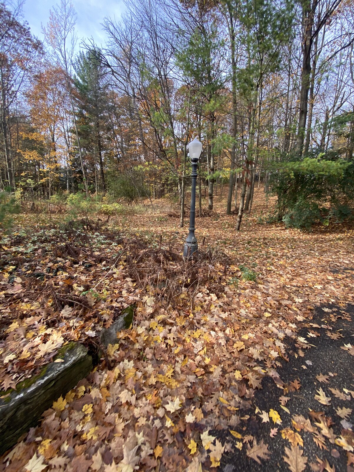 Driveway Lamp in Autumn — O'Doherty's Property Services