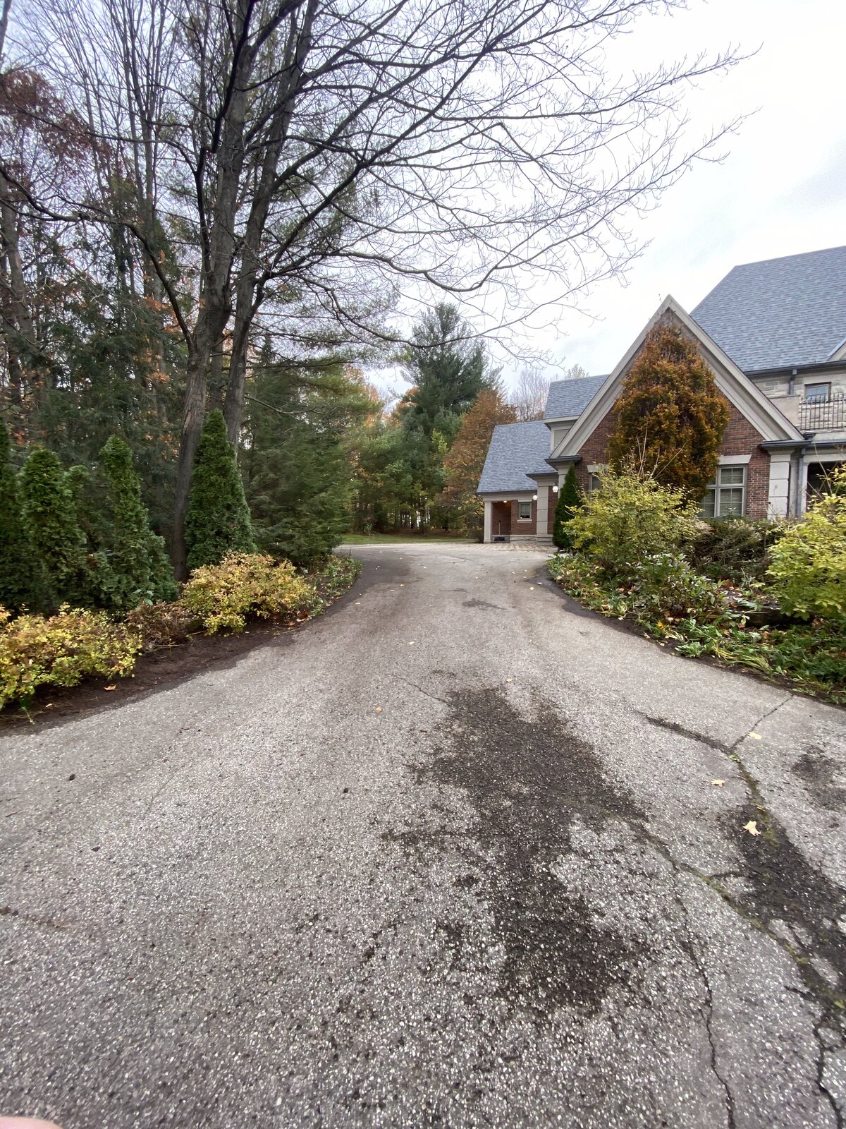 Driveway Cleared — O'Doherty's Property Services