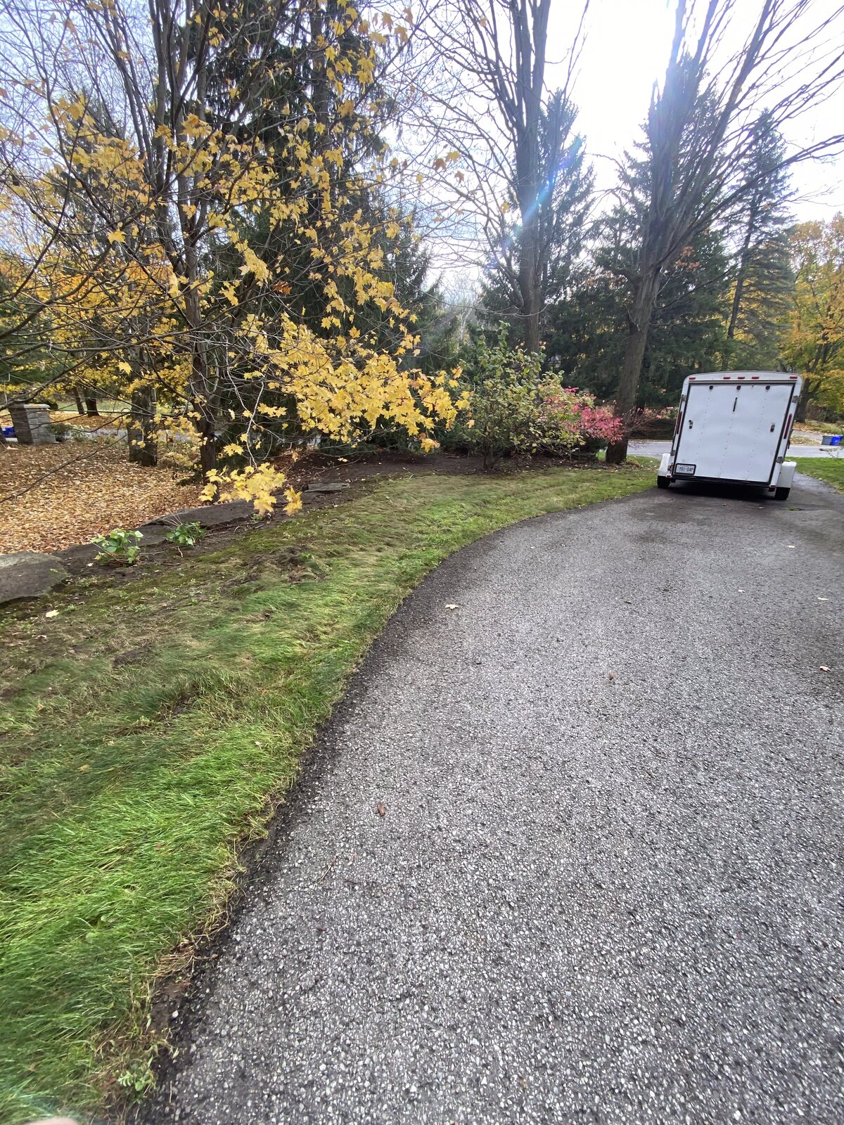 On-Site During Cleanup — O'Doherty's Property Services