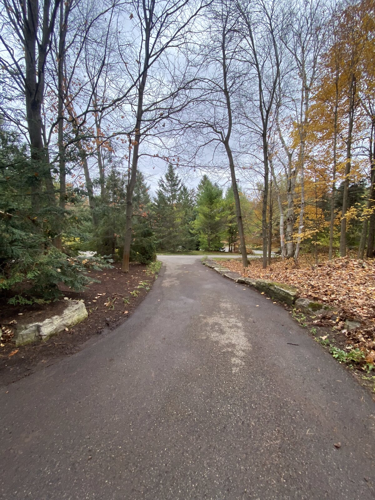 Driveway After Cleanup — O'Doherty's Property Services