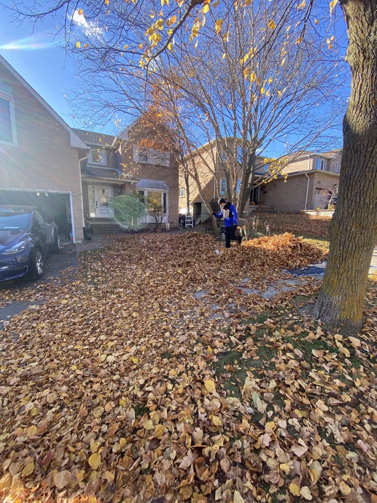 Yard Buried in Leaves — O'Doherty's Property Services