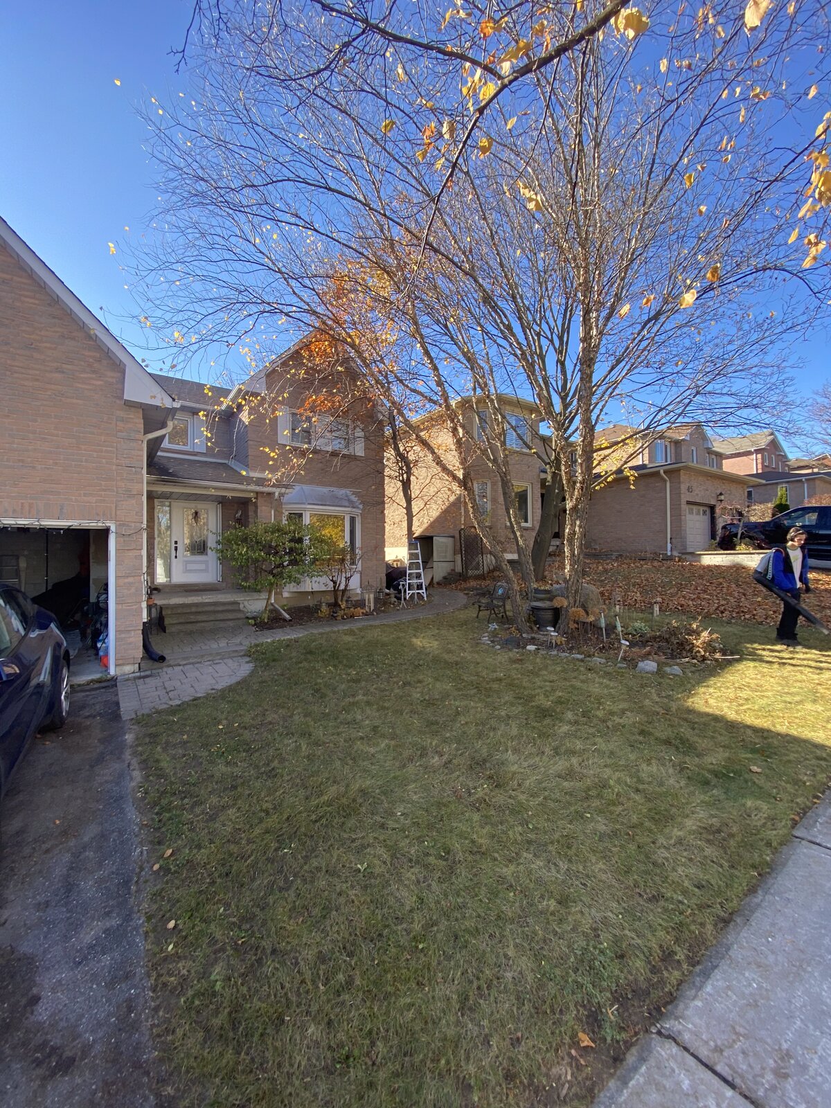 Same Yard — Cleared — O'Doherty's Property Services