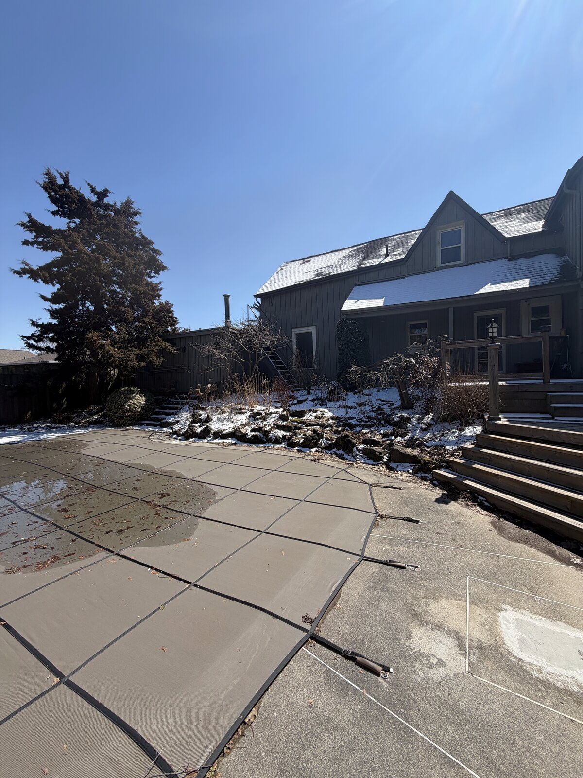 Spring Yard Awakening — O'Doherty's Property Services