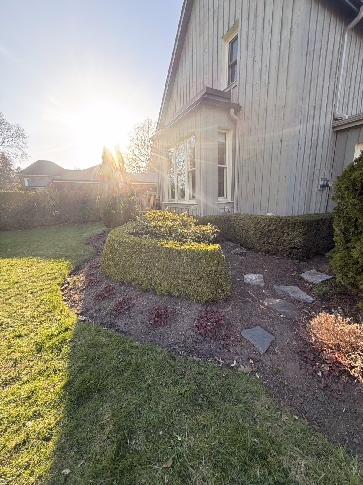 Fresh Mulch & Hedges — O'Doherty's Property Services