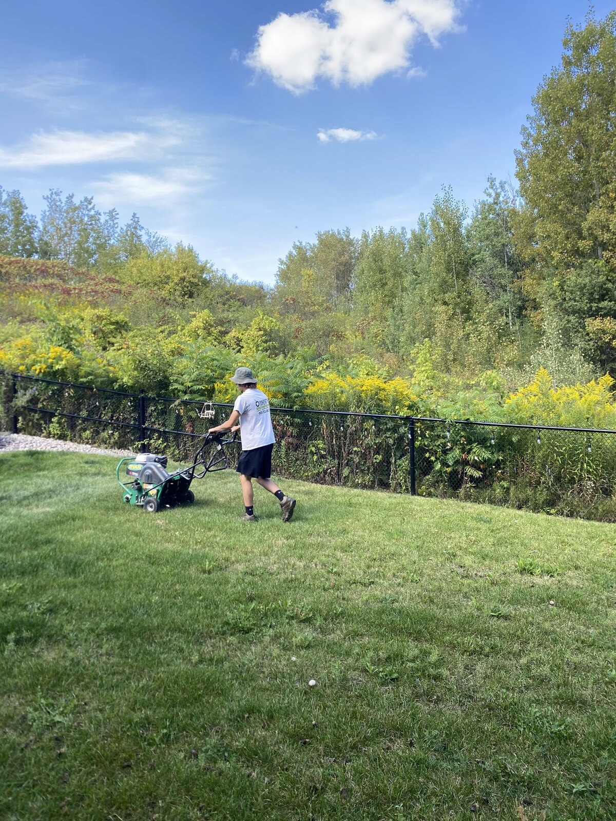 Weekly Lawn Maintenance — O'Doherty's Property Services