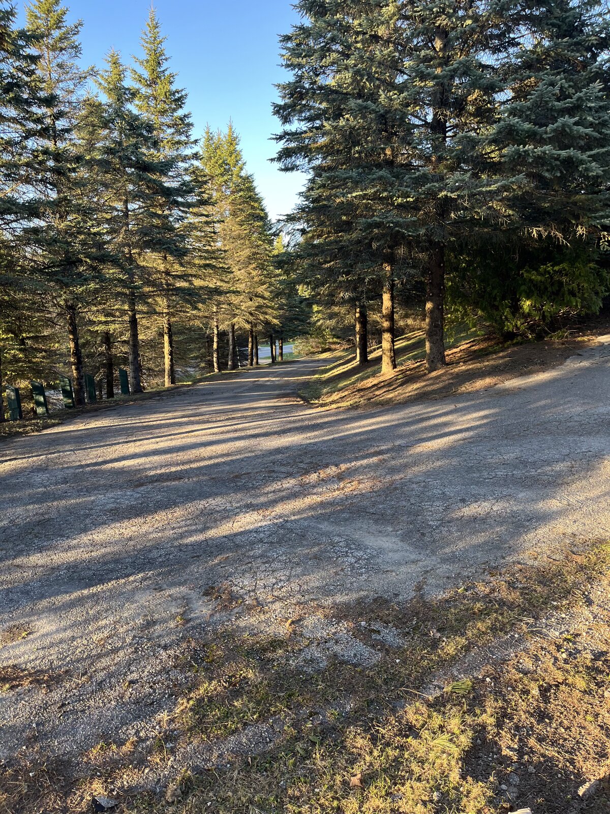 Golden Hour Drive — O'Doherty's Property Services